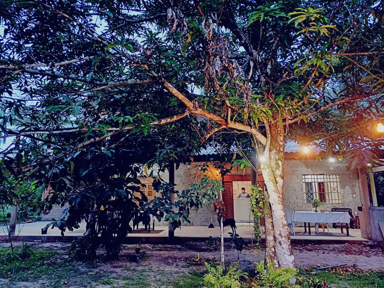 Eco Sitio O Labirinto Do Fauno Hotel Mosqueiro  Luaran gambar