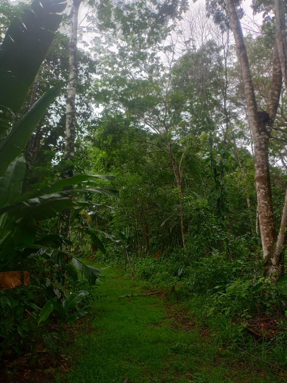 Eco Sitio O Labirinto Do Fauno Hotel Mosqueiro  Luaran gambar